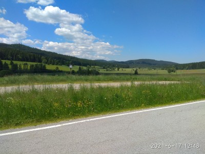 IMG_20210617_124856.jpg