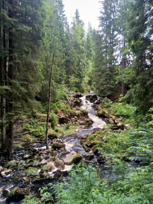 IMG-20210628-WA0000.jpg