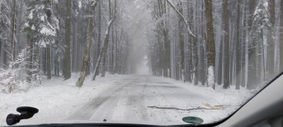 20230415_111507.jpg