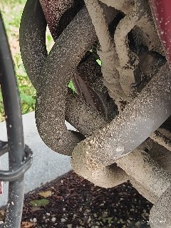 IMG_20240604_160241979.jpg