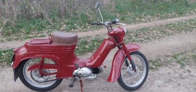 20250415_194840.jpg