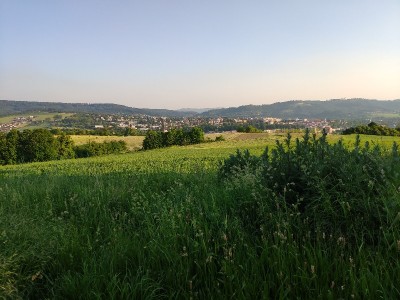 Pohoda